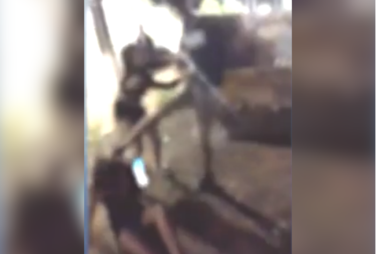 agredida balada curitiba