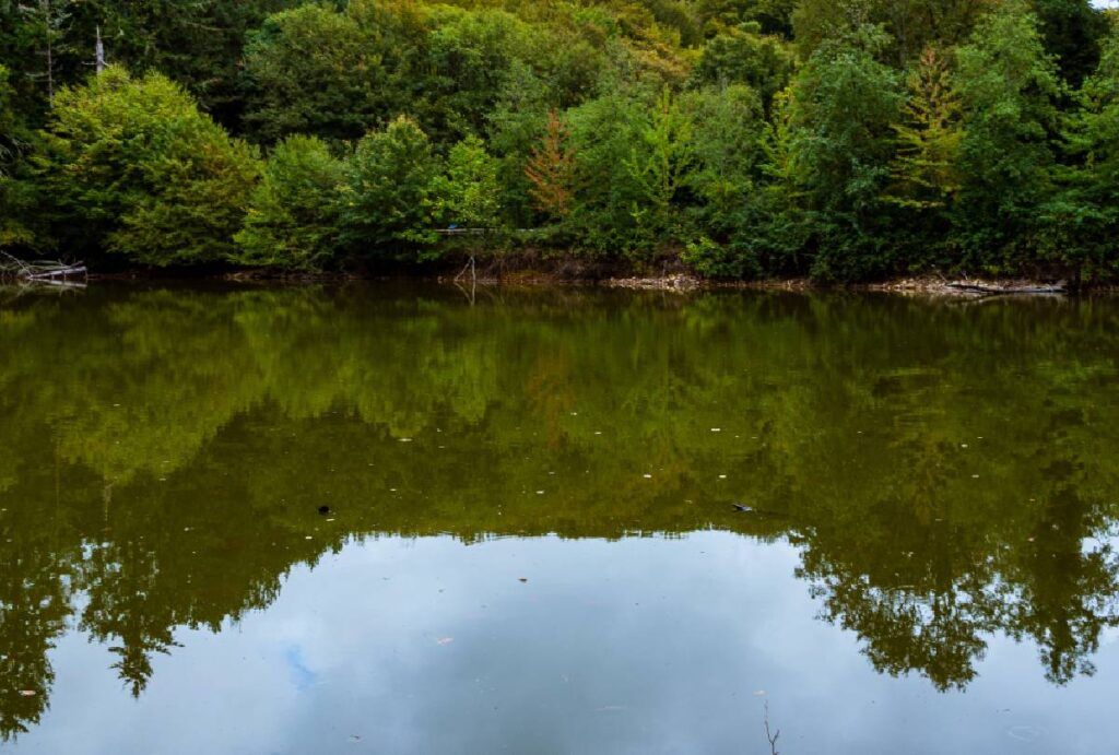 morte-em-borrazopolis-lago morte-em-borrazopolis-lago