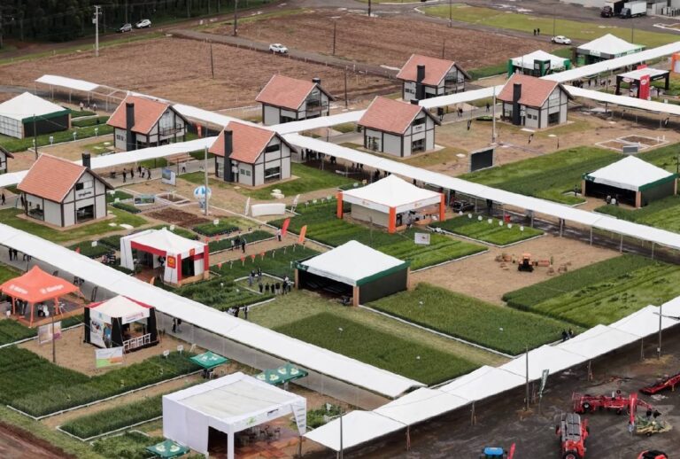 negocios-da-terra-wintershow