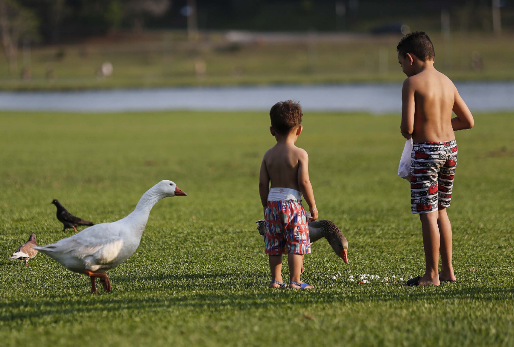 previsão do tempo paraná