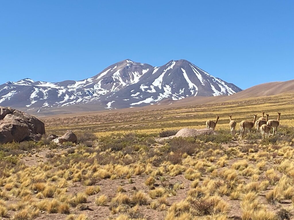 MONTANHAS NEVADAS DO ATACAMA