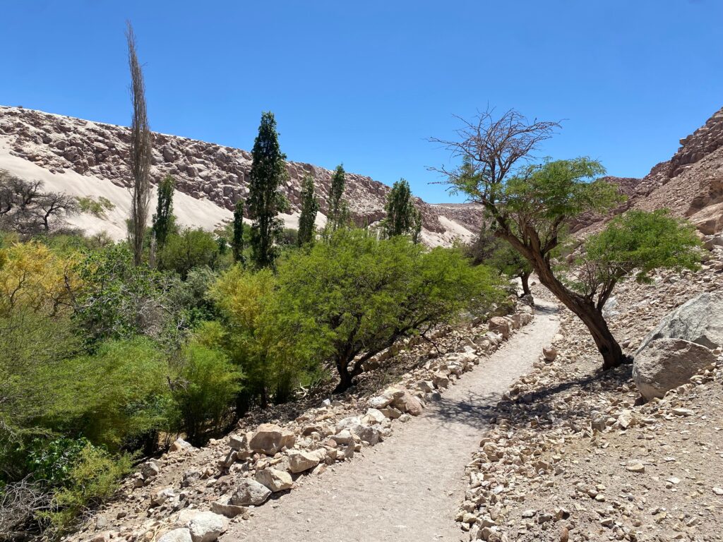 OASIS NO MEIO DO DESERTO