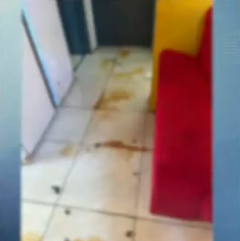 cães-resgatados-maringá