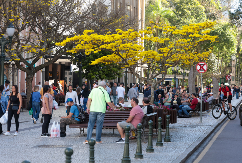 clima feriado amanhã