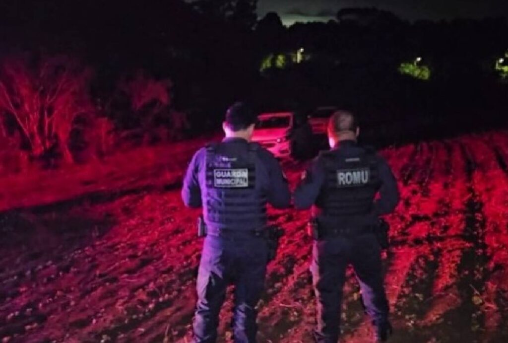 confronto-em-sao-jose-dos-pinhais-plantacao confronto-em-sao-jose-dos-pinhais-plantacao