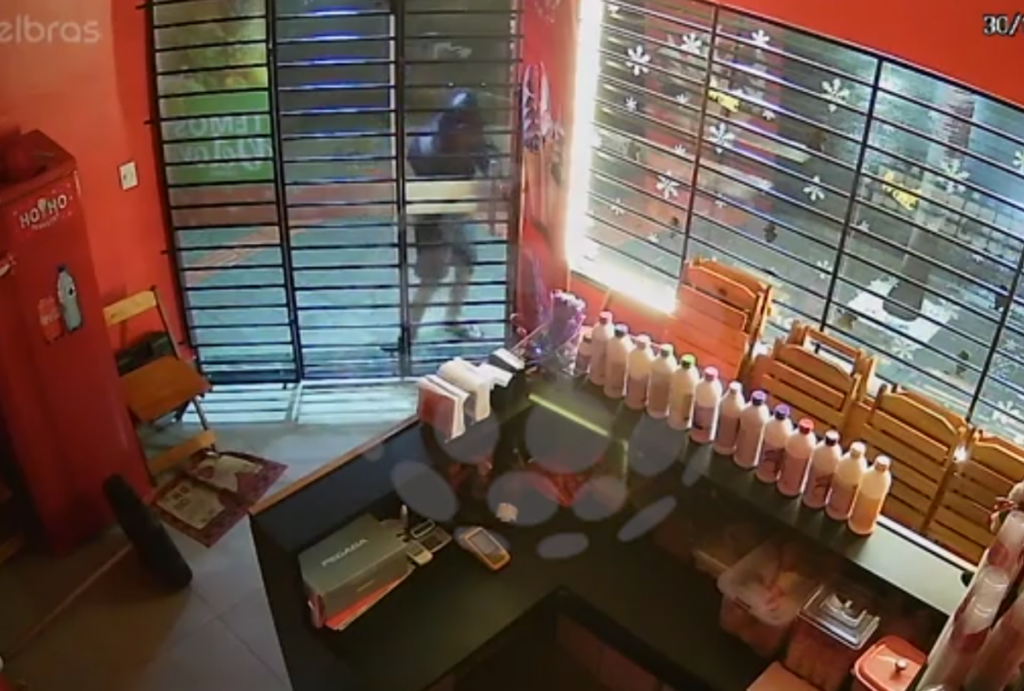 sorveteria papai noel assaltada