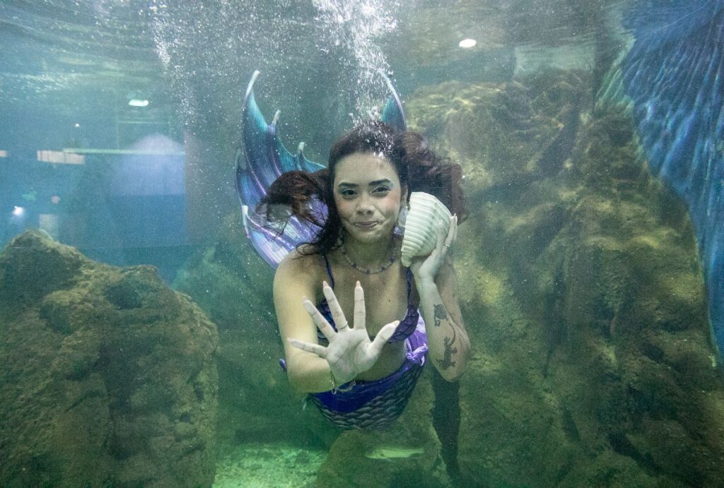 aquario de paranagua