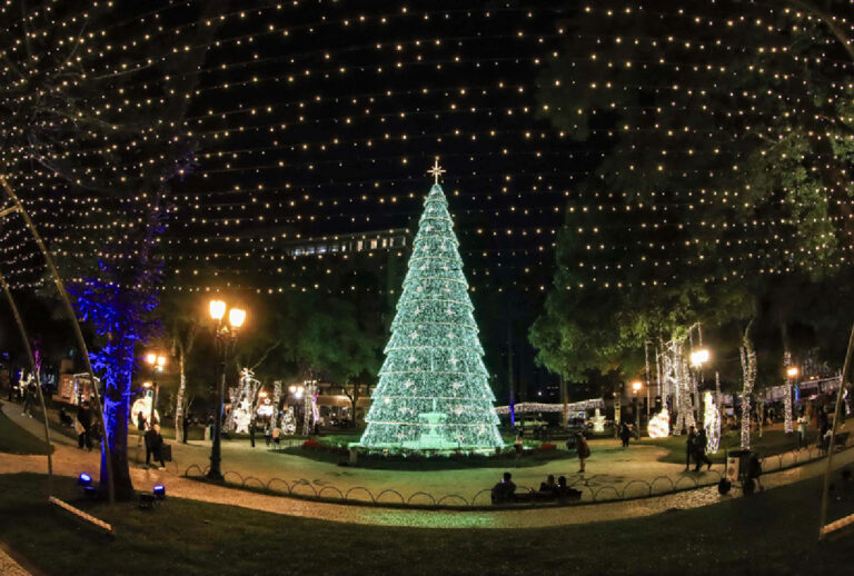 arvores-natal-de-curitiba