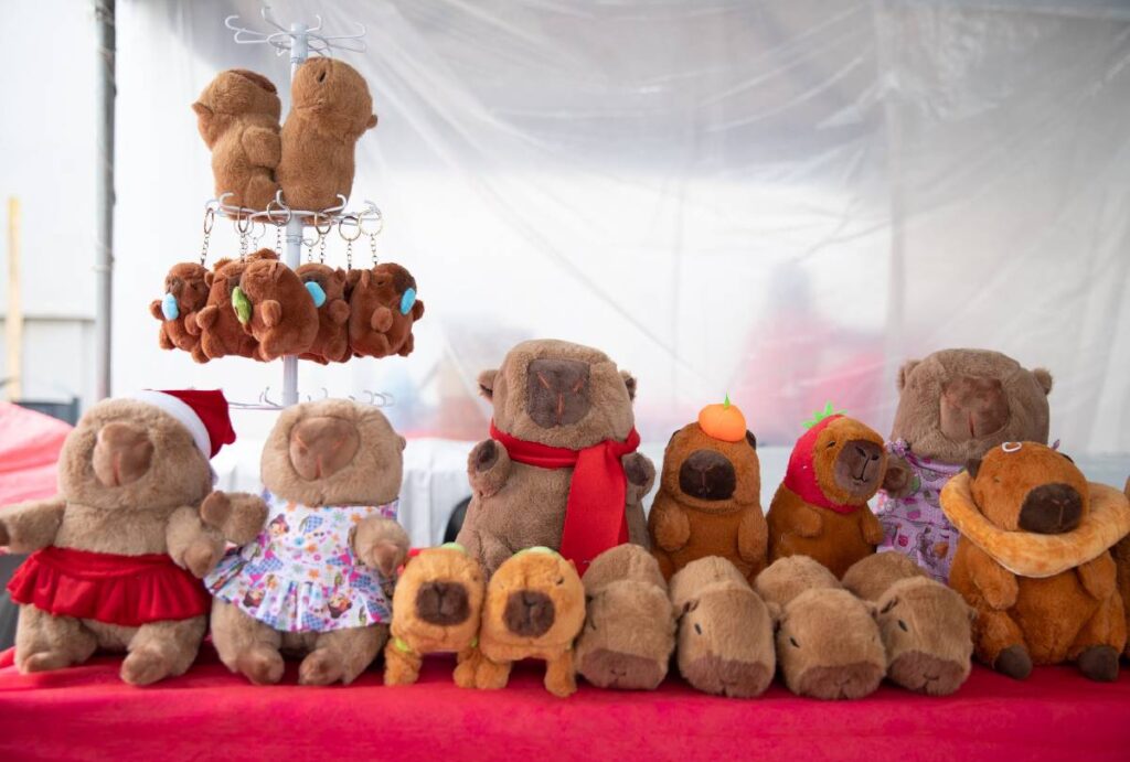 feira-de-natal-sao-jose-dos-pinhais-694548a3eec1e