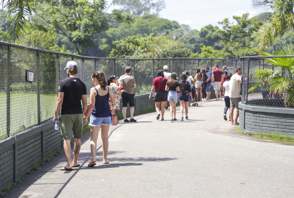 inicio do verãoA 2025 curitiba
