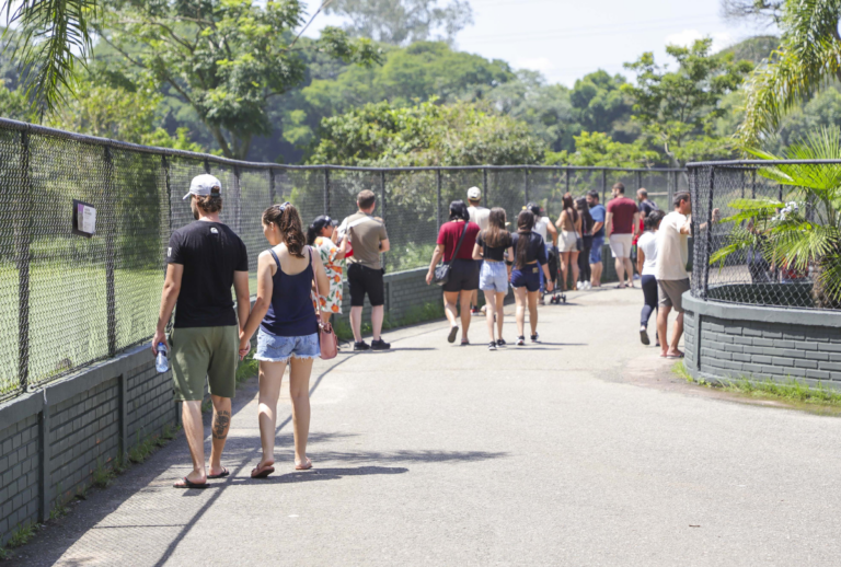 inicio do verãoA 2025 curitiba