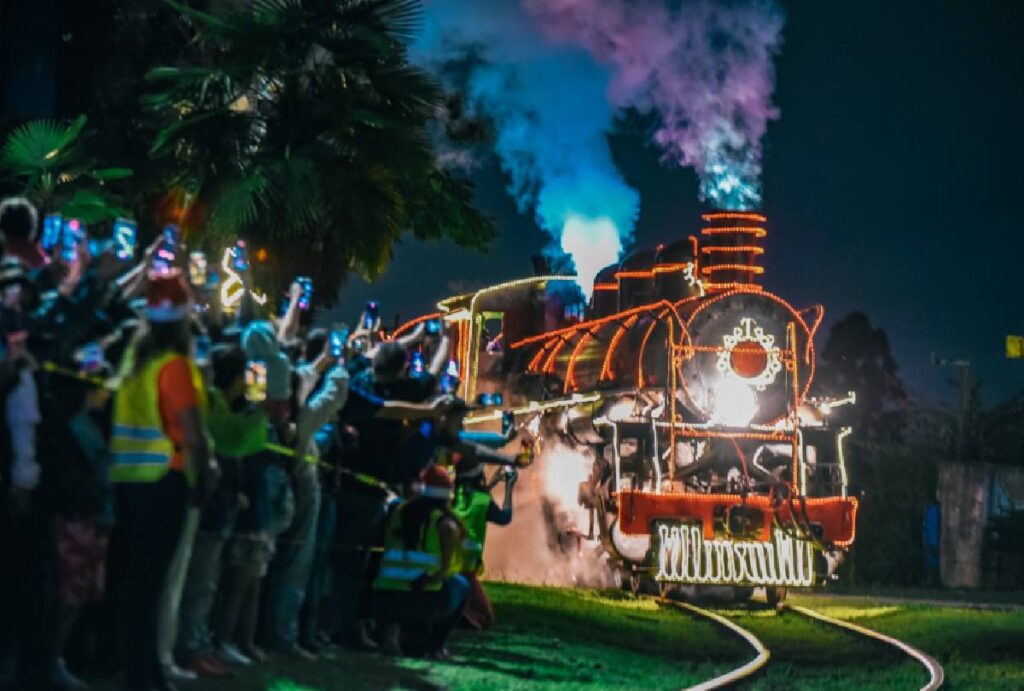 maria-fumaca-araucaria