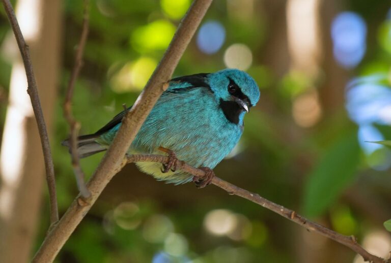 parque-vila-velha-passeio