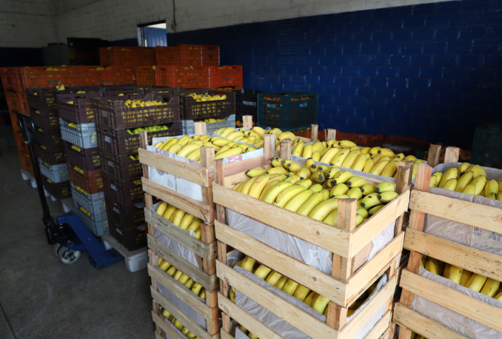 preço alimentos caem