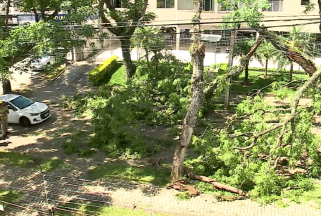 queda-de-arvores-curitiba