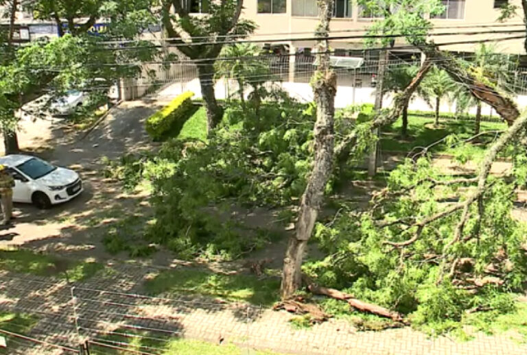 queda-de-arvores-curitiba