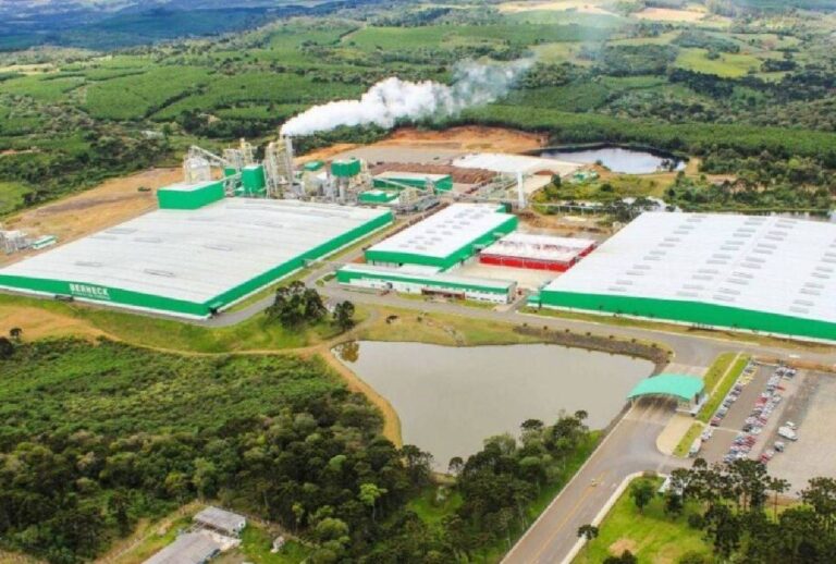 vagas-na-berneck-araucaria-dezembro