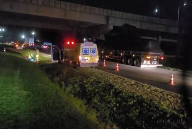 atropelamento-br-277-curitiba-orleans