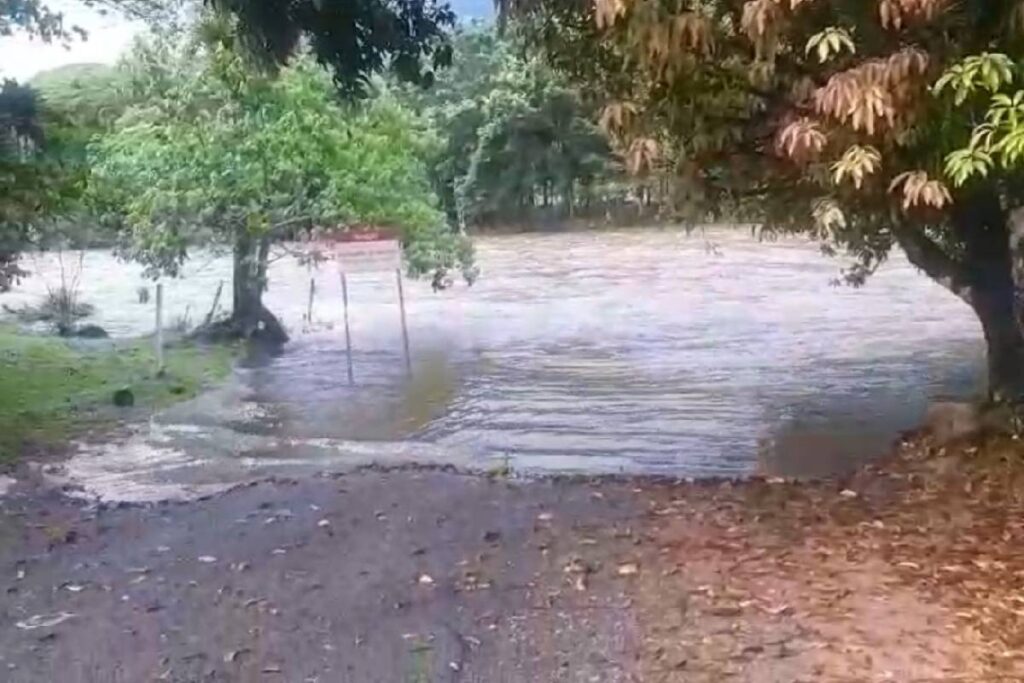 cabeça d’água guaratuba pr