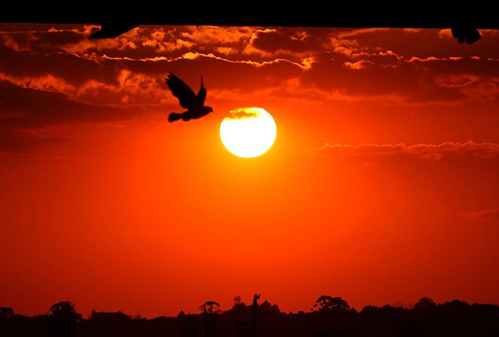 dia-mais-quente-do-parana-janeiro