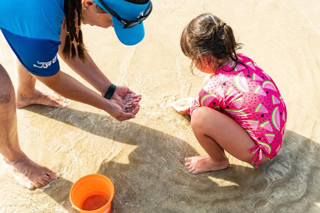 praias-proprias-parana