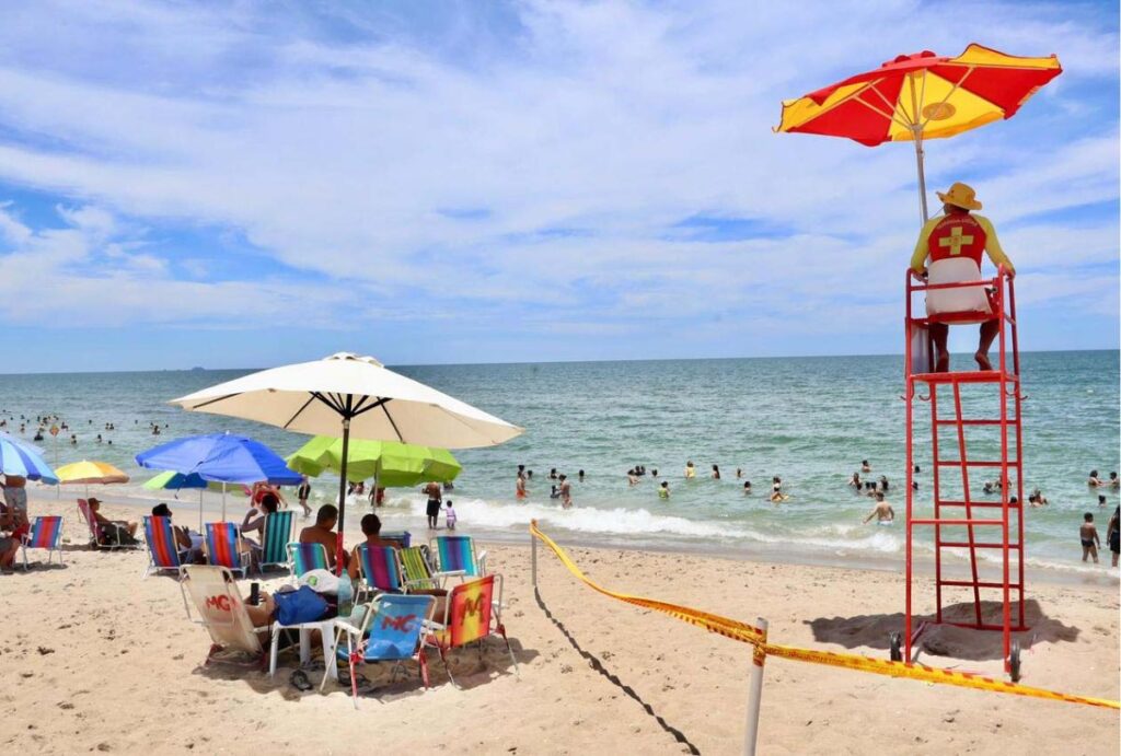 pulseirinha de identificação