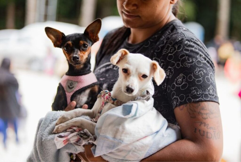 Dois cachorros no colo de uma mulher