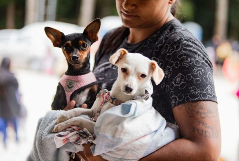 Dois cachorros no colo de uma mulher