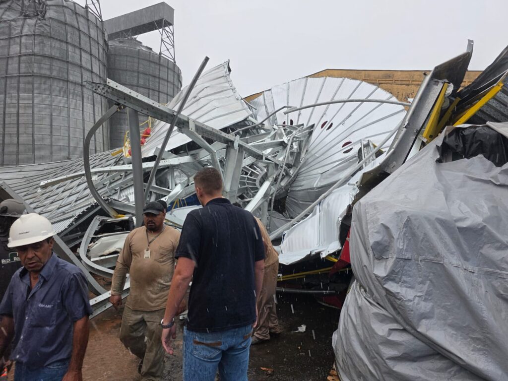 WhatsApp Image 2026-02-18 at 16.12.51