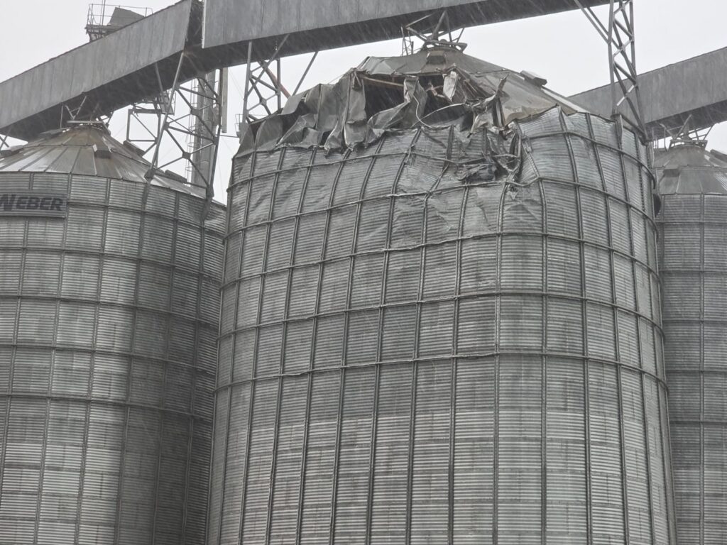 WhatsApp Image 2026-02-18 at 16.12.52