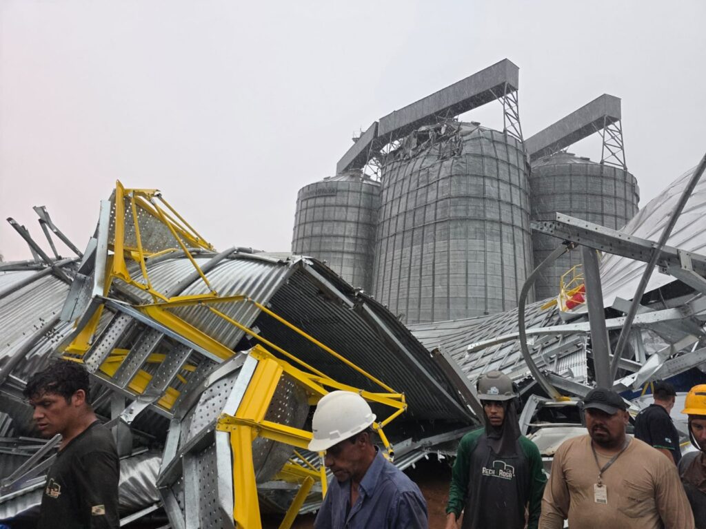 WhatsApp Image 2026-02-18 at 16.12.53