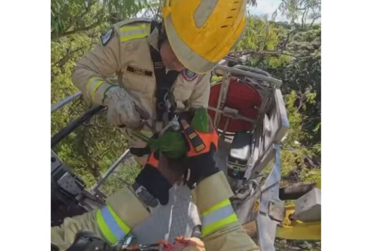 Bombeiro resgatando maritaca.