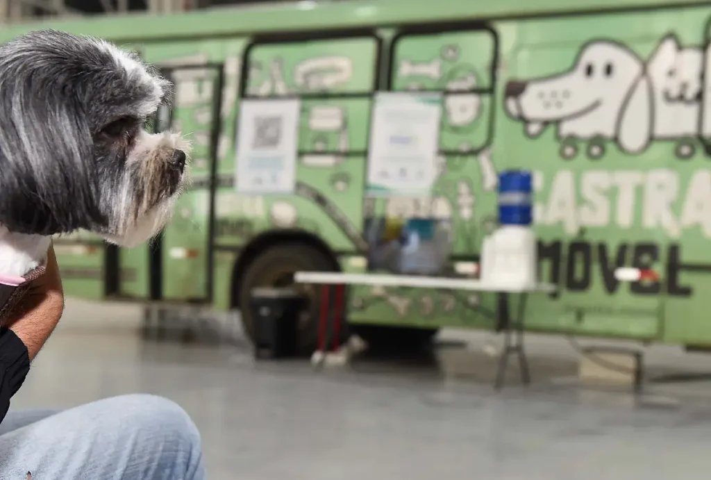 Cachorro no CastraPet Paraná