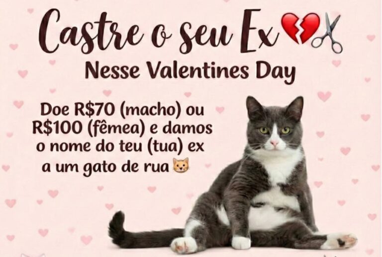 Post de rede social divulgando o projeto.