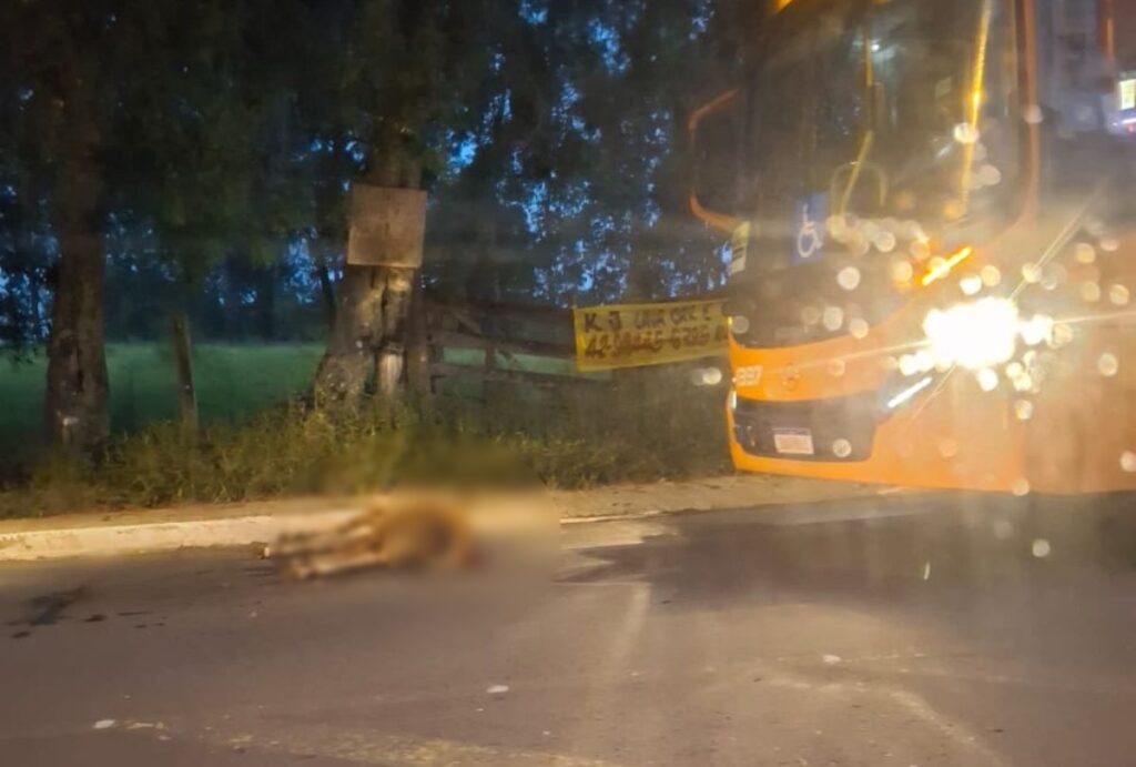 Cena do atropelamento.