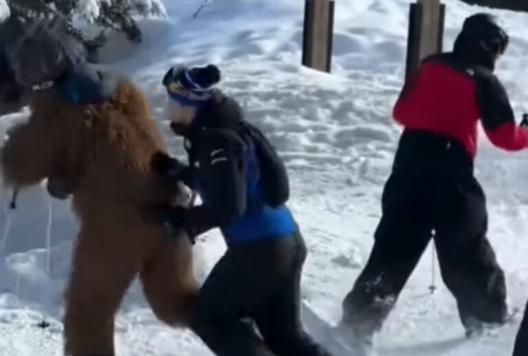 chewbacca brasileiro Homem fantasiado de Chewbacca foge de agressores.