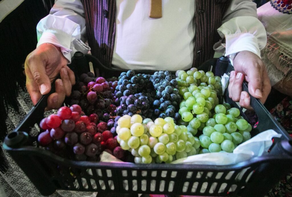 Homem segurando cesta de uvas.