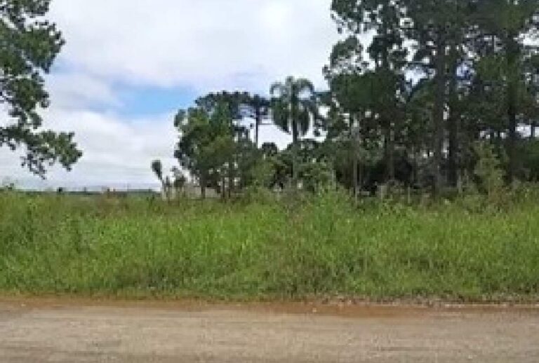 Valeta que o idoso caiu