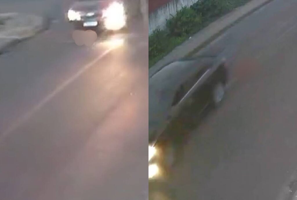 Cachorro sendo atropelado