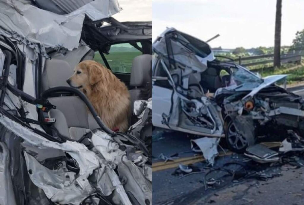 Carro destruído após acidente