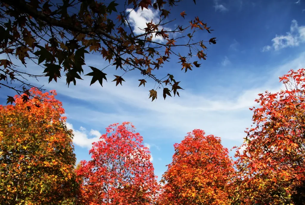 Quando começa o outono