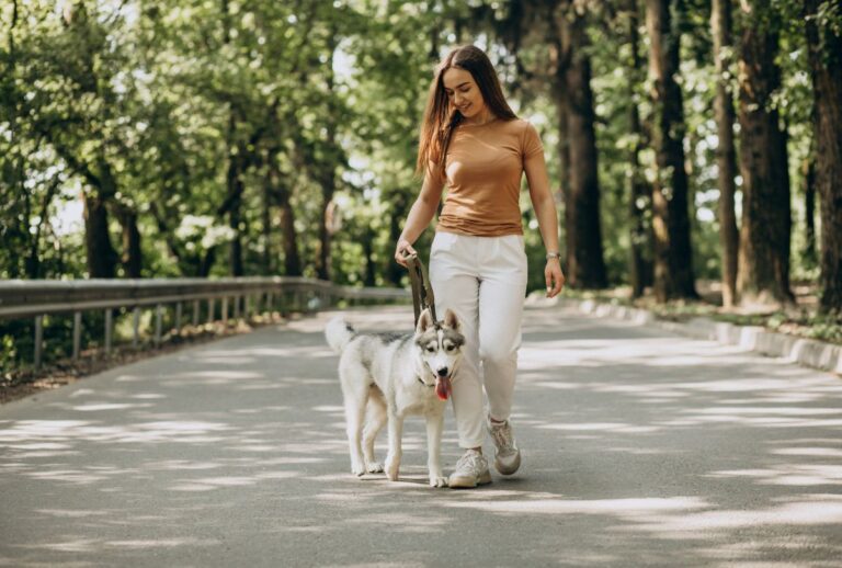 Mulher passeando com cachorro