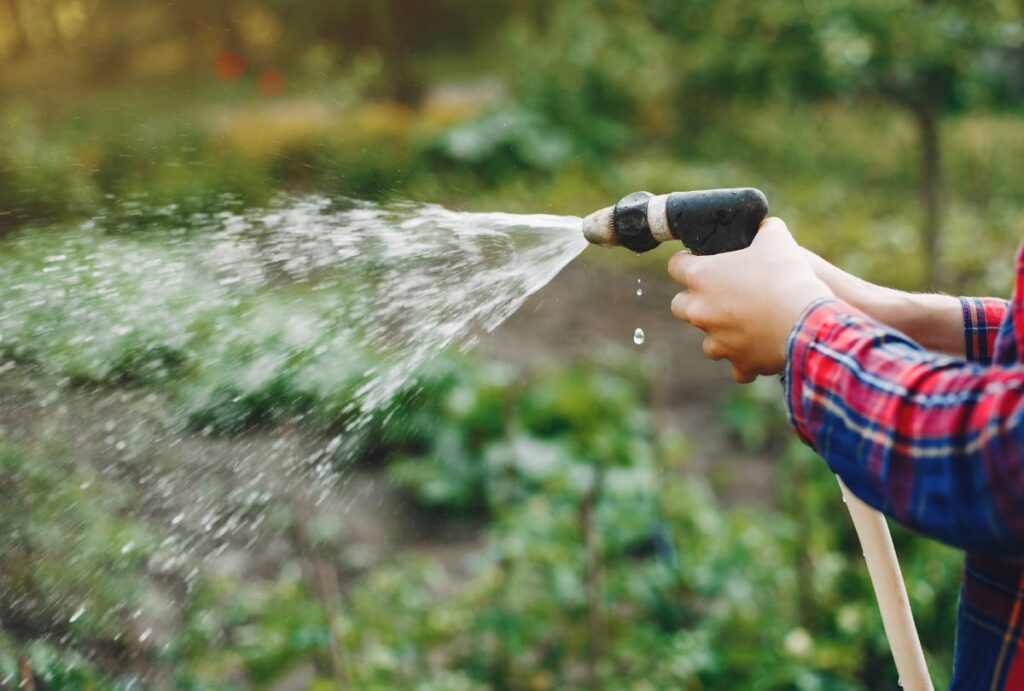 Pessoa segurando mangueira