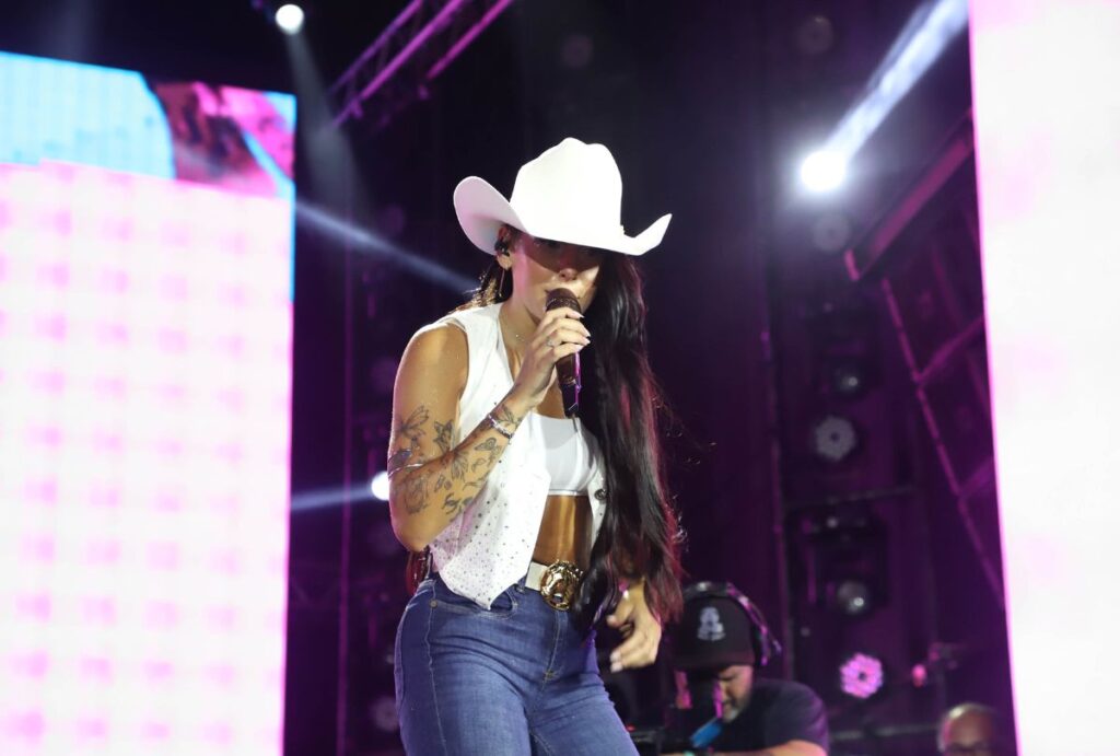 ana-castela-teatro-positivo-ingresso