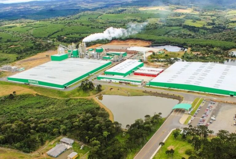 berneck-araucaria-vagas-de-emprego