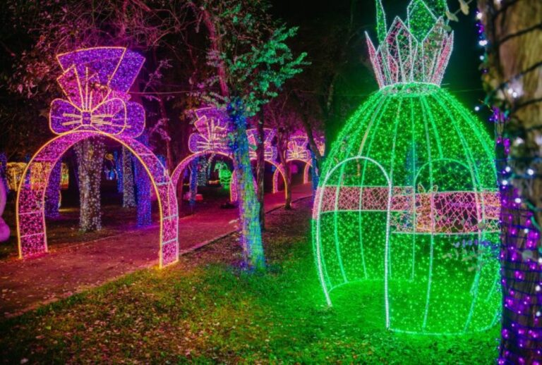 bosque-do-coelho-sao-jose-dos-pinhais