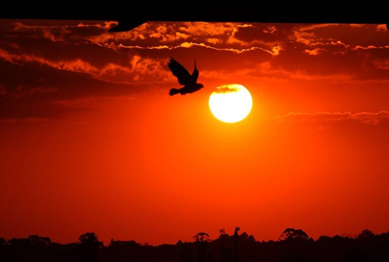 calor-no-parana-27-29-marco