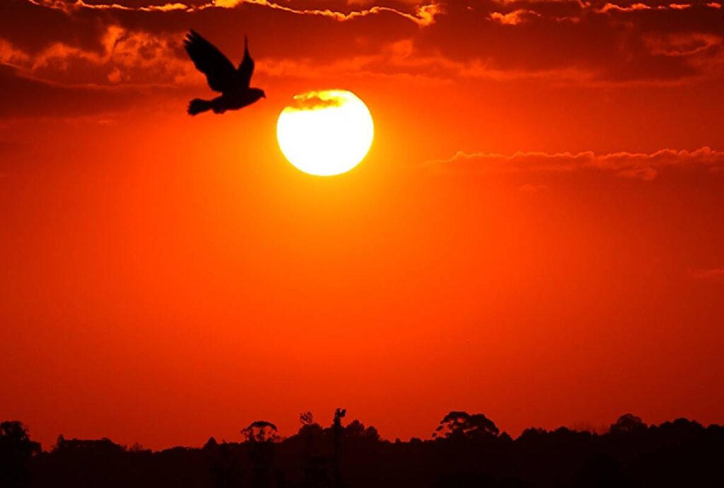 calor-no-parana-marco