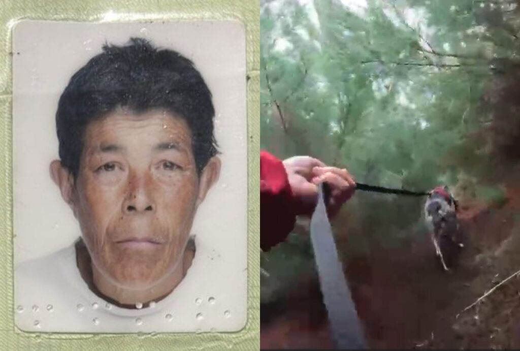 Montagem com foto de idosa desaparecida e buscas em Guarapuava