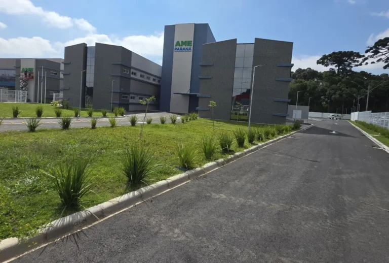 novo-ame-sao-jose-dos-pinhais